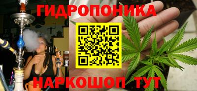 МДПВ Гусев