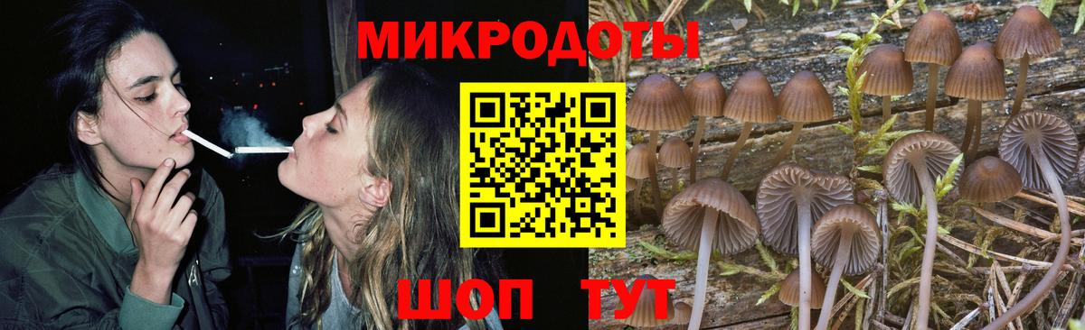 Калининград  Псилоцибиновые грибы MAGIC MUSHROOMS  Вход с VPN 